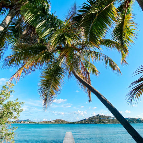 The Best Snorkeling Spots in the British Virgin Islands